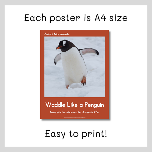 Animal Movement Posters with Real Photos