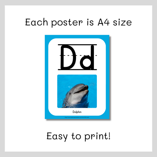 Alphabet Posters w Real Photos